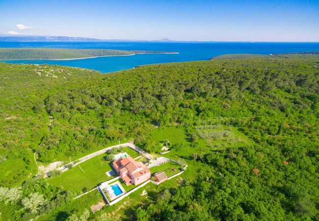 Villa in Rakalj - Wonderful Villa Prisedi with Private Pool 