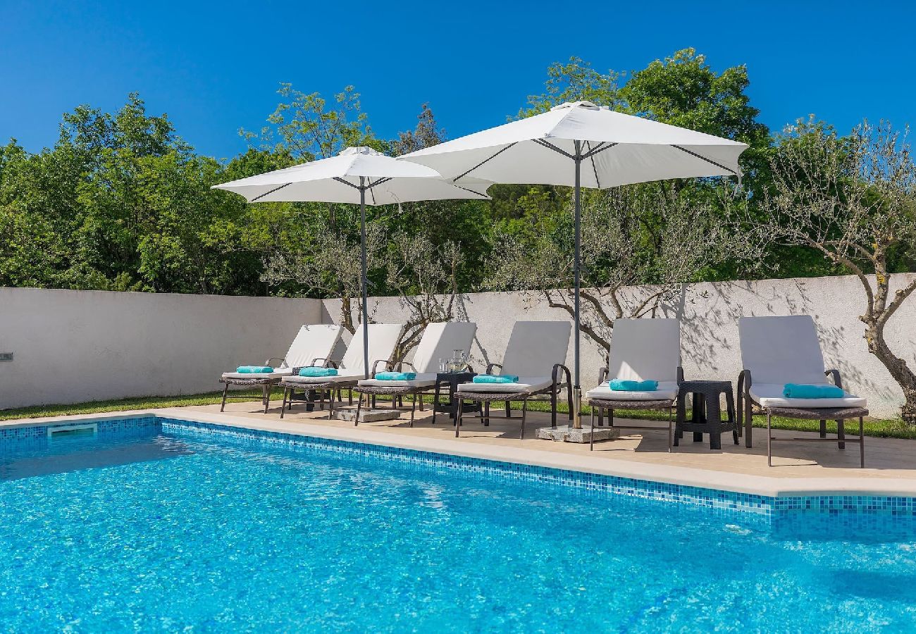Villa in Rakalj - Wonderful Villa Prisedi with Private Pool 
