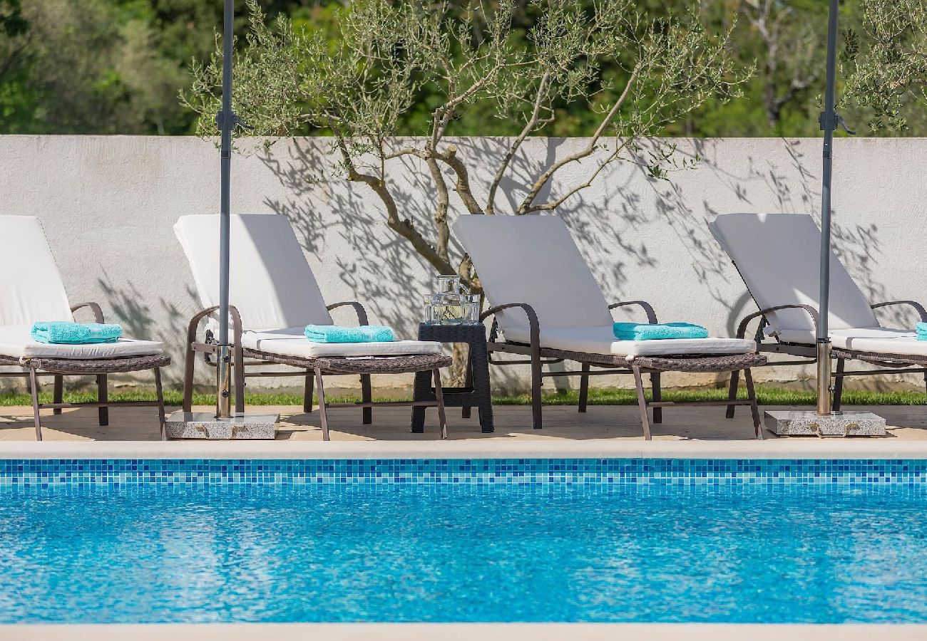 Villa in Rakalj - Wonderful Villa Prisedi with Private Pool 