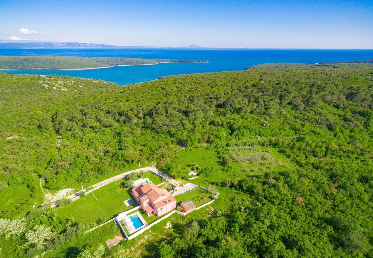 Villa in Rakalj - Wonderful Villa Prisedi with Private Pool 