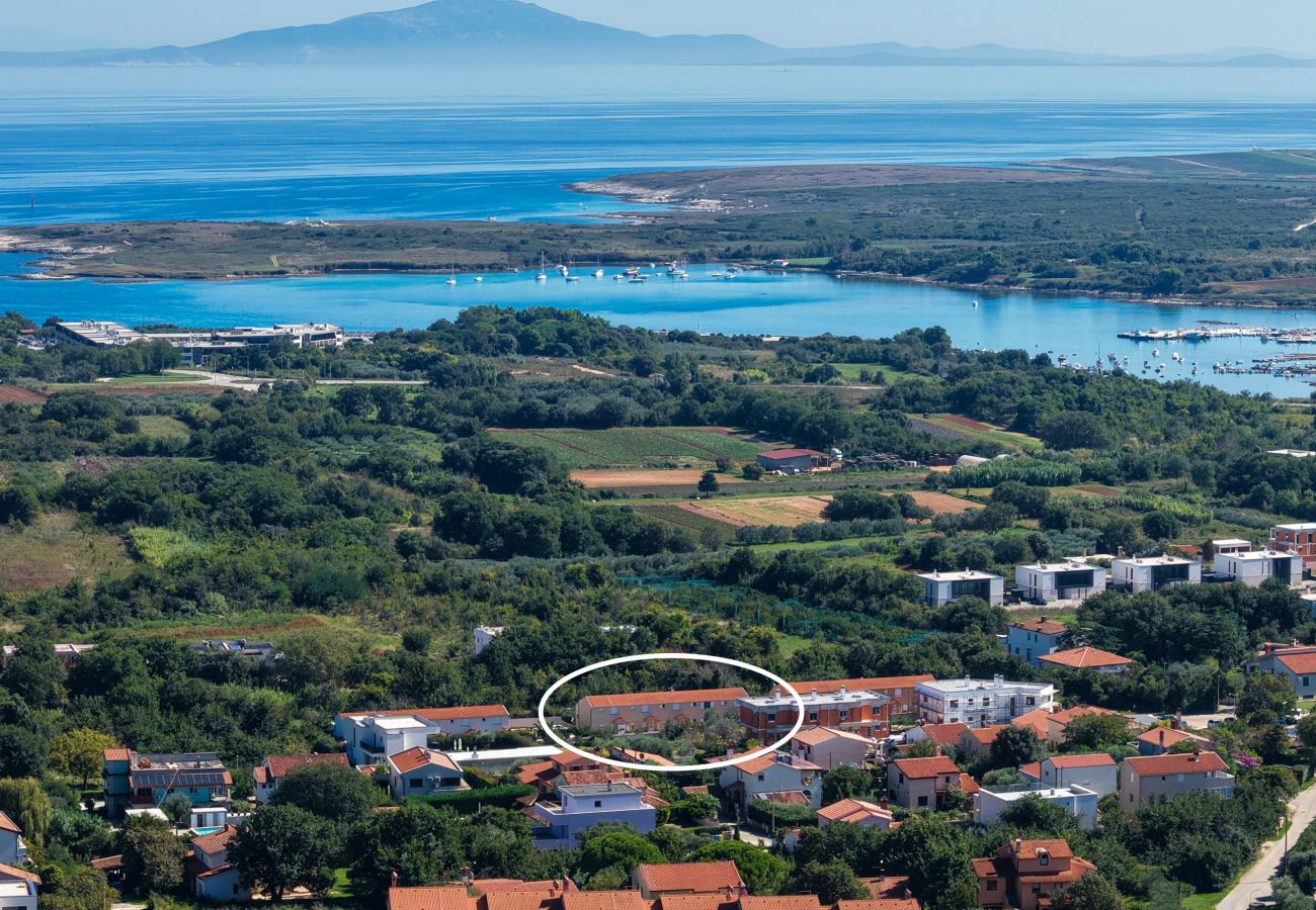 Apartment in Ližnjan - Charming Pool Apartment Liznjan - Buneta