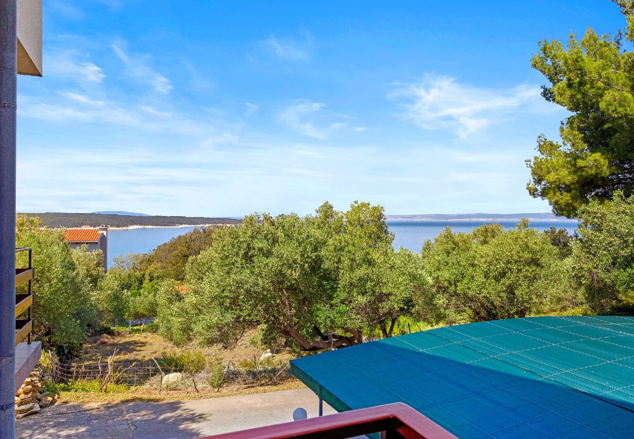 Apartment in Supetarska Draga - Anamar- Three bedroom Apartment with Sea View