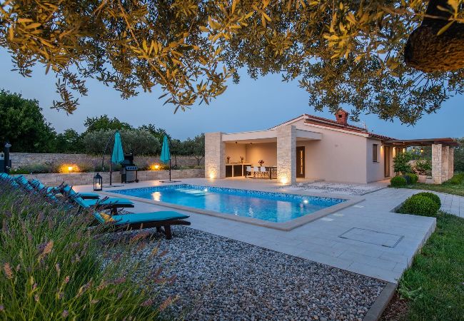 Villa in Mali Vareški - Villa Silentio with Jacuzzi and Pool (4+2) 