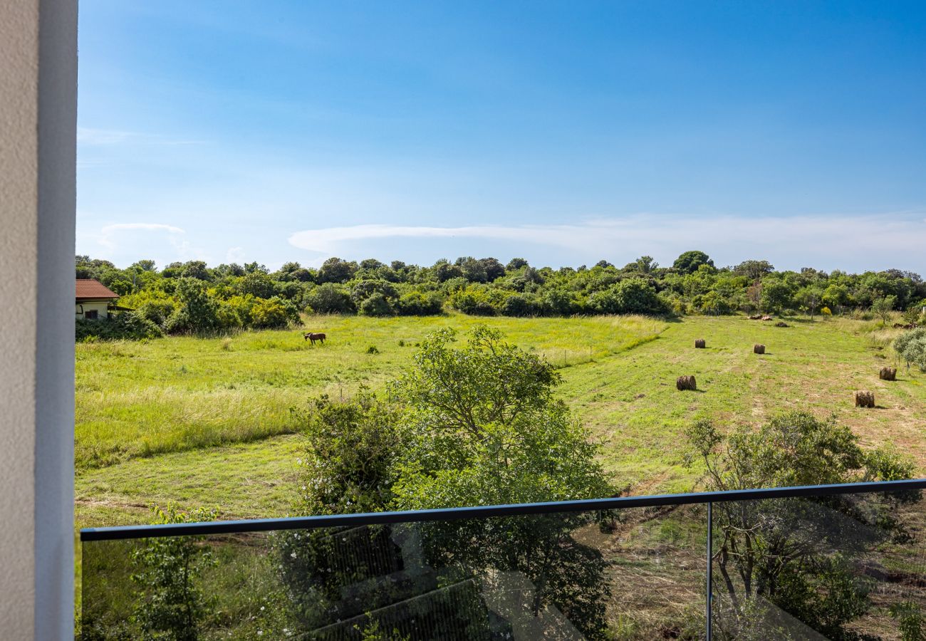 Villa in Štinjan - Villa Antares - Luxurious Vacation Oasis