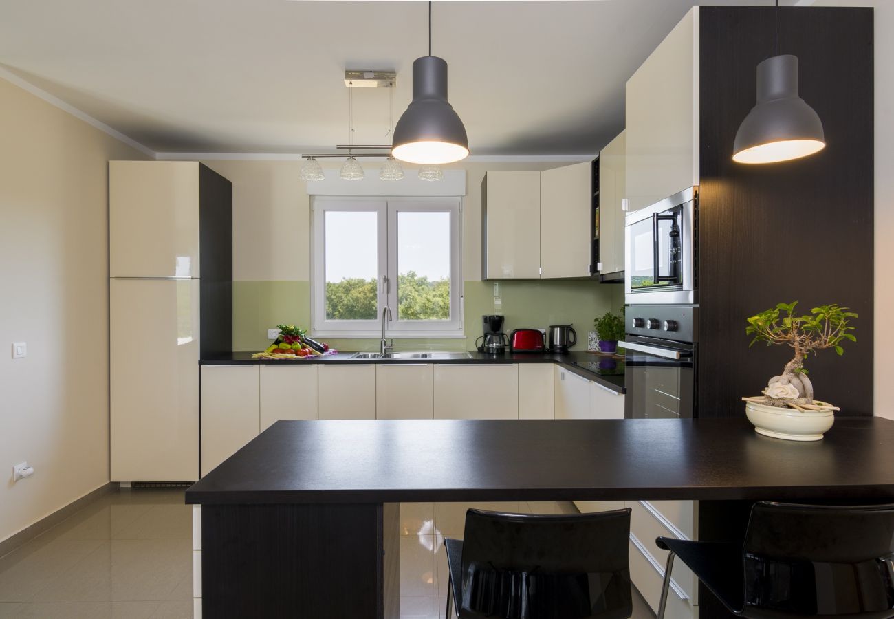 Villa in Kapelica - Gorgeous Villa Lands with Private Pool