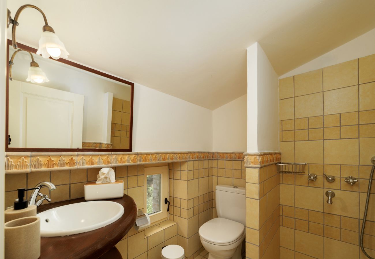 Villa in Andros - Premium Andros Escape