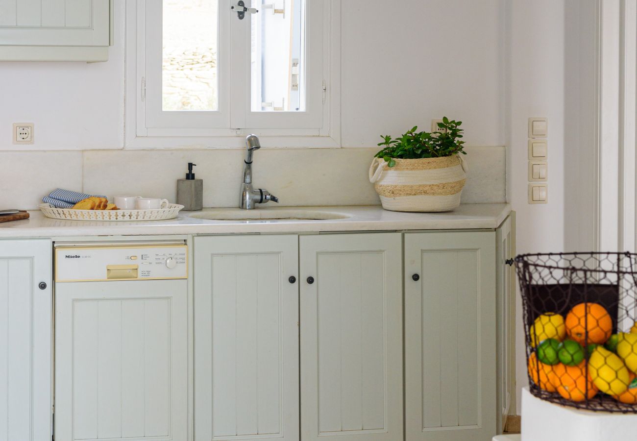 Villa in Tzanes - Soho Villa with private pool in Paros