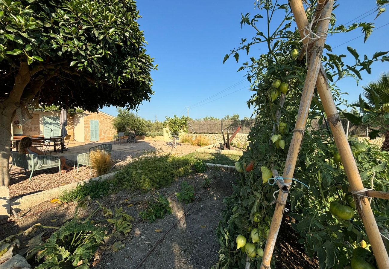 Country house in Alcudia - Can Ventet