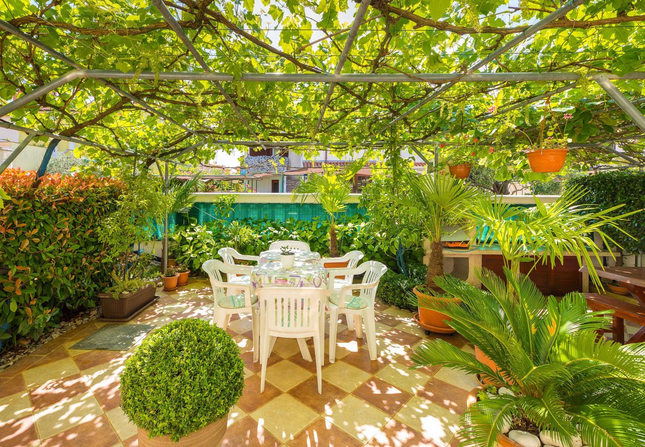 Apartment in Fažana - Seaside Apartment in Fazana - Two bedrooms