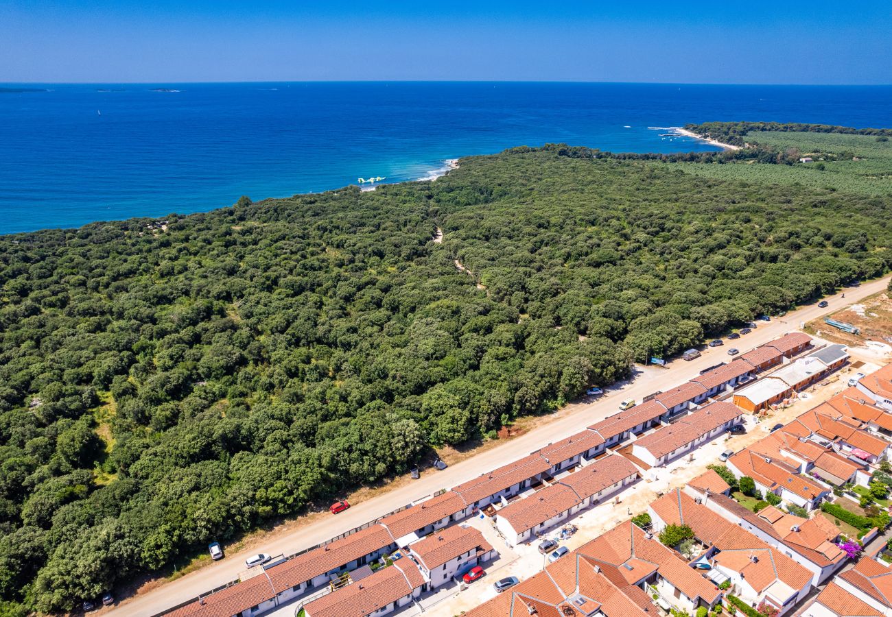 Apartment in Peroj - Barbariga Summer Beach Paradise 2