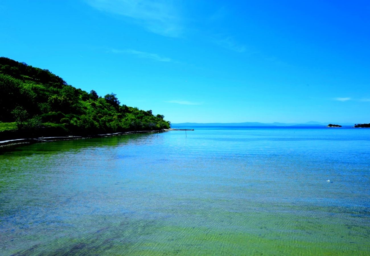 Apartment in Kampor - Family Friendly Apartment Mare  Close to the Sea