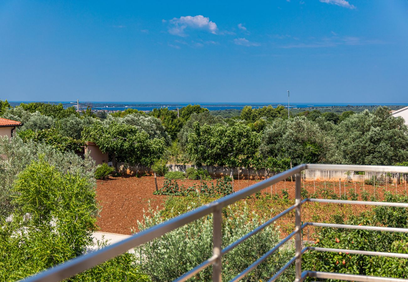 Apartment in Galižana - Apartment Vito with Balcony