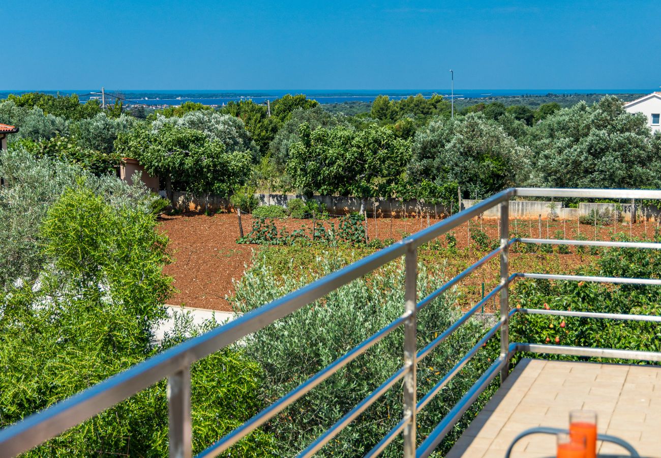 Apartment in Galižana - Apartment Vito with Balcony