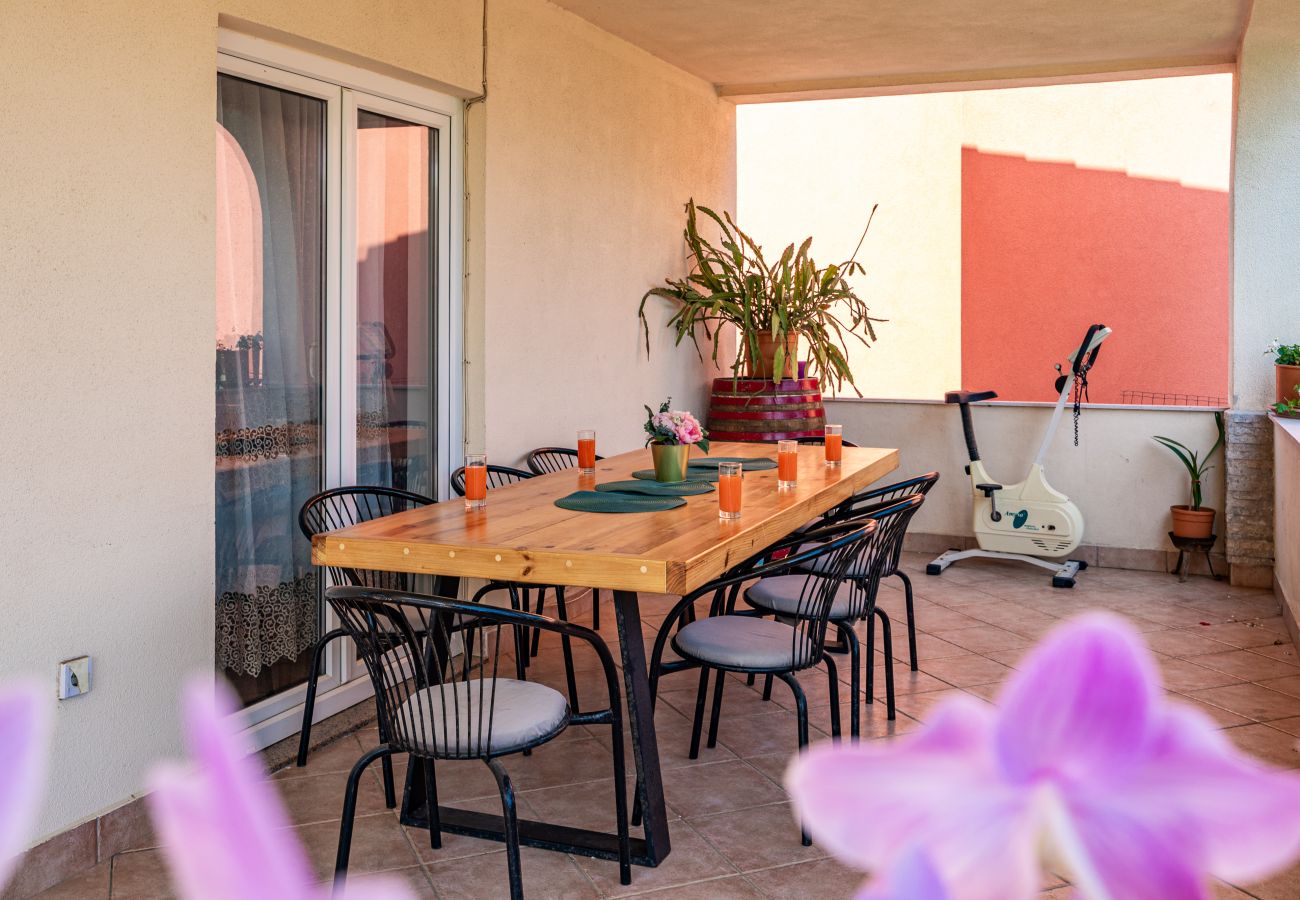 Studio in Galižana - Studio Vito with Balcony