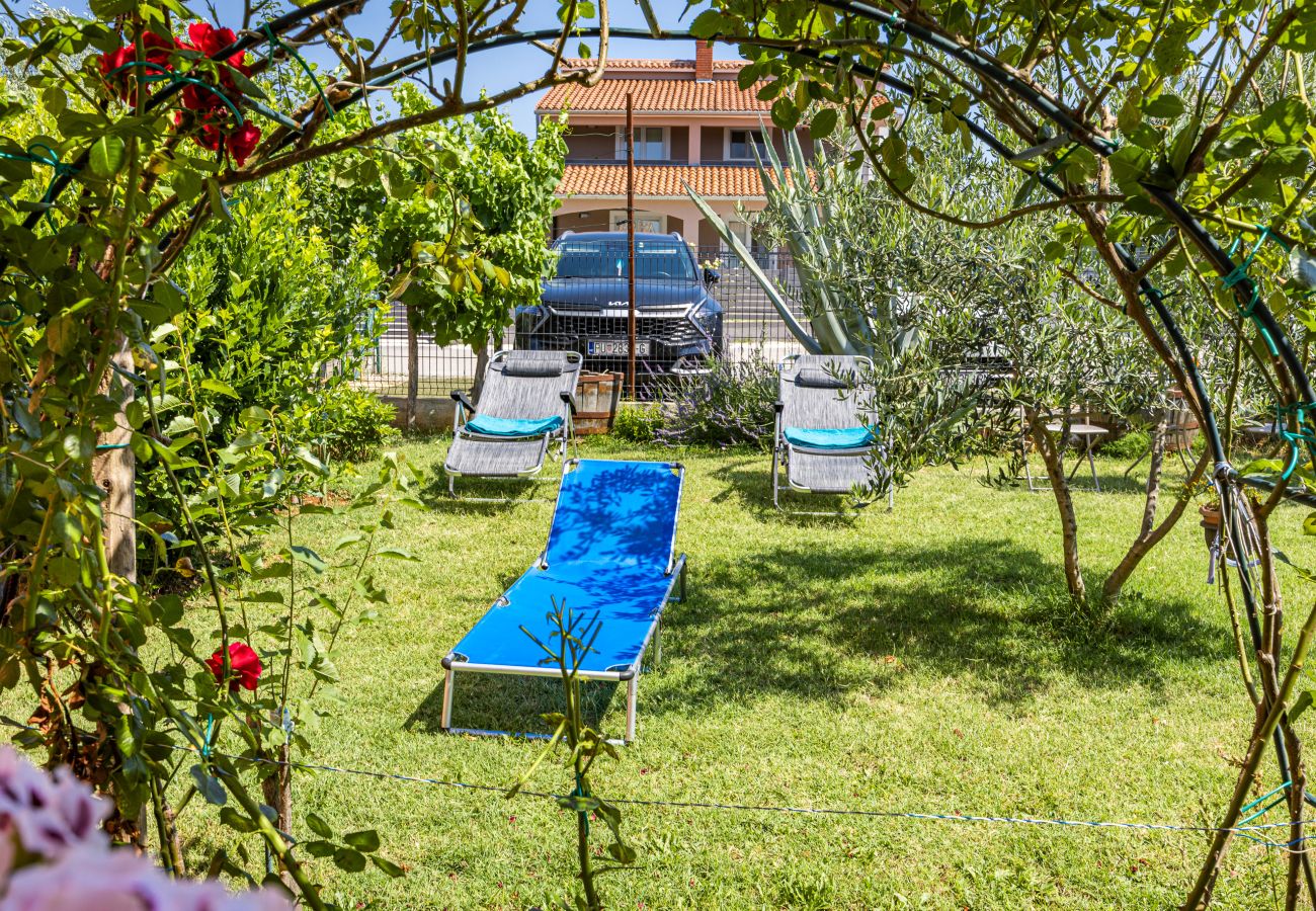 Studio in Galižana - Studio Vito with Balcony