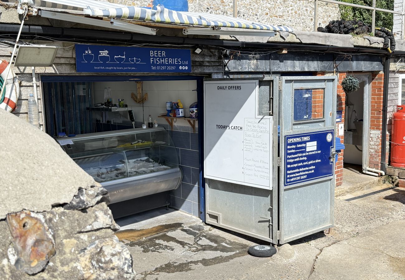 House in Beer - Sea Holly House - Where Architecture Meets the Ocean