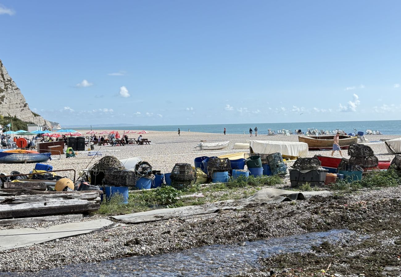 House in Beer - Sea Holly House - Where Architecture Meets the Ocean
