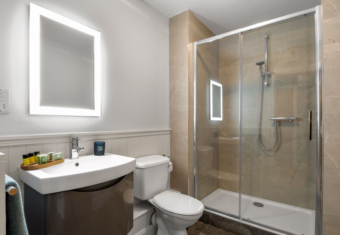 Apartment in Clifden - Robins Nest