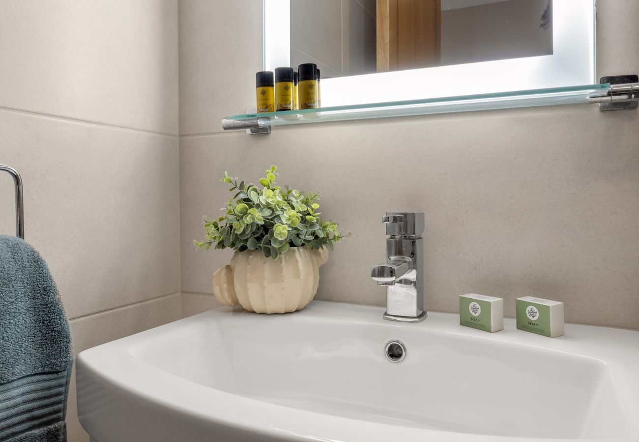 Apartment in Clifden - Robins Nest