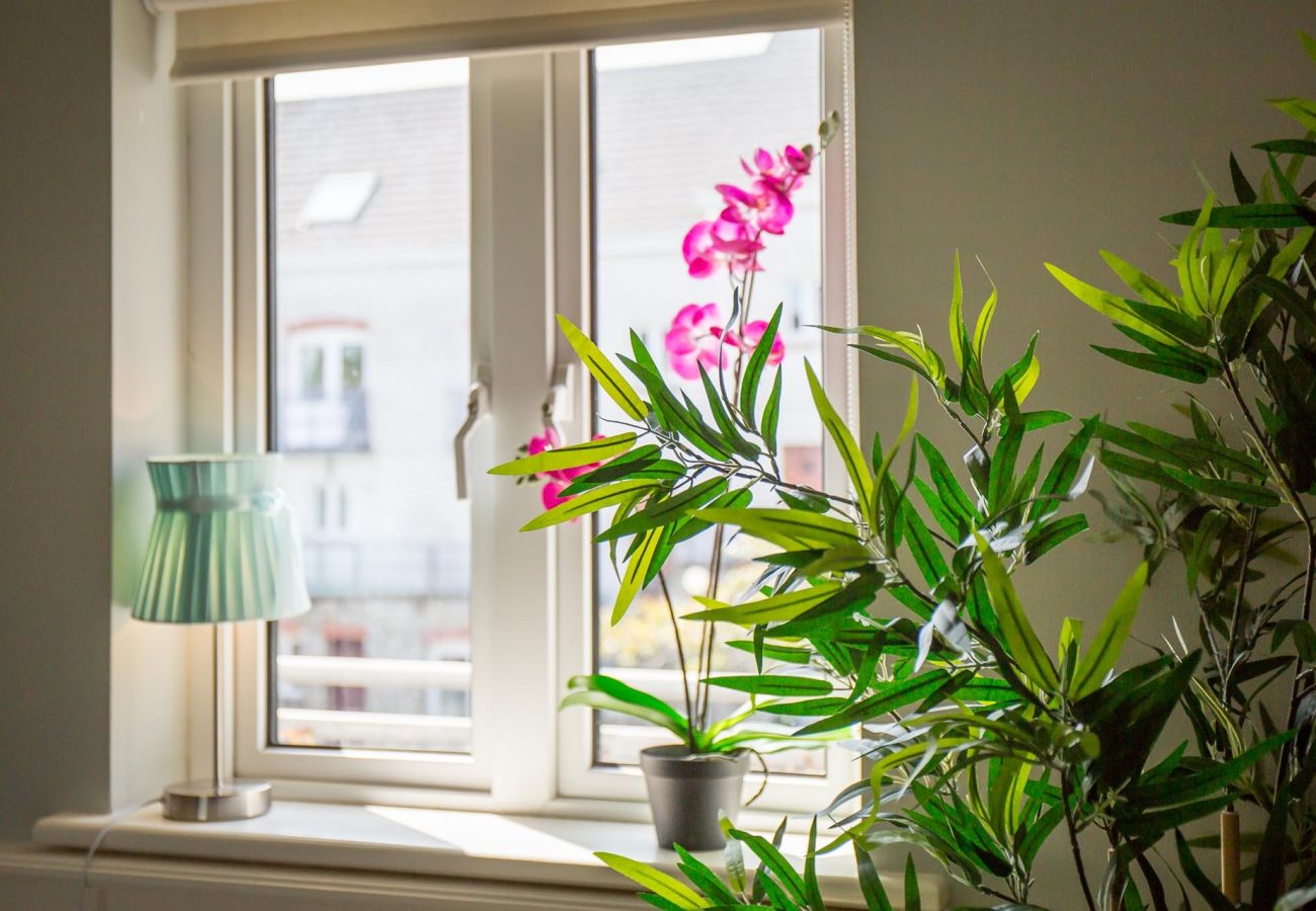 Apartment in Clifden - Pink Blossom