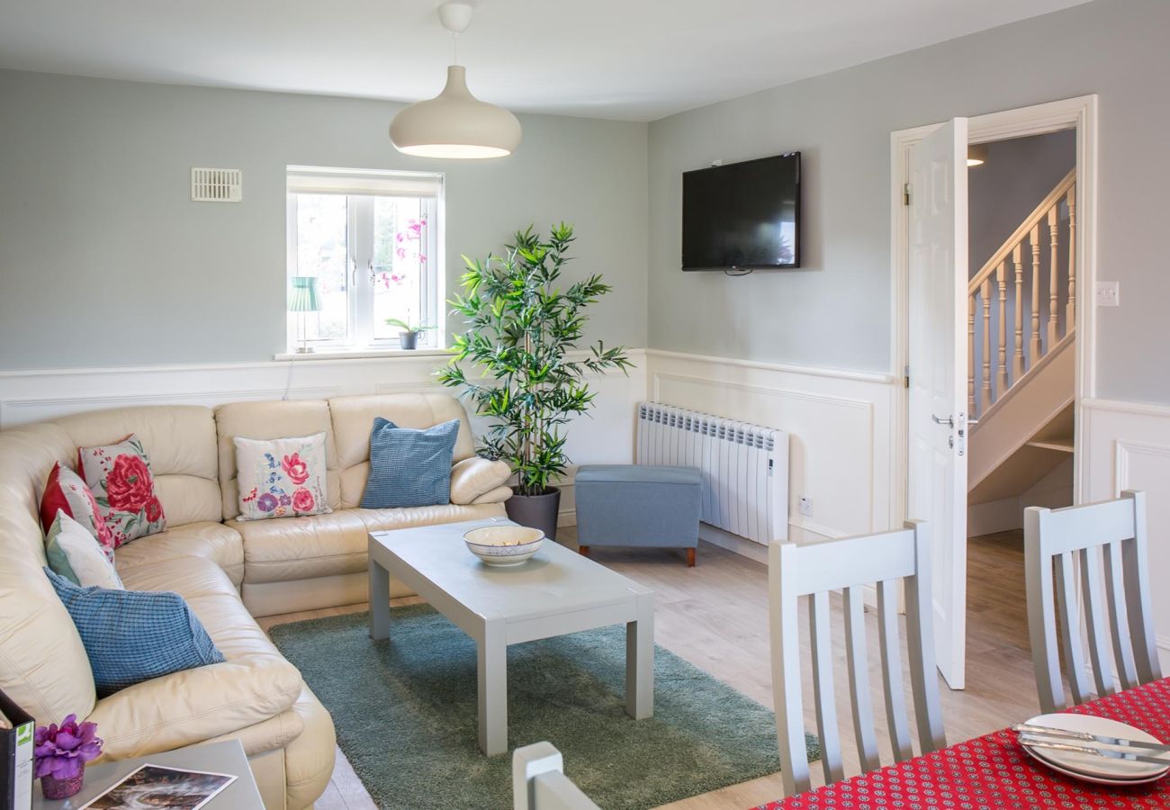 Apartment in Clifden - Pink Blossom