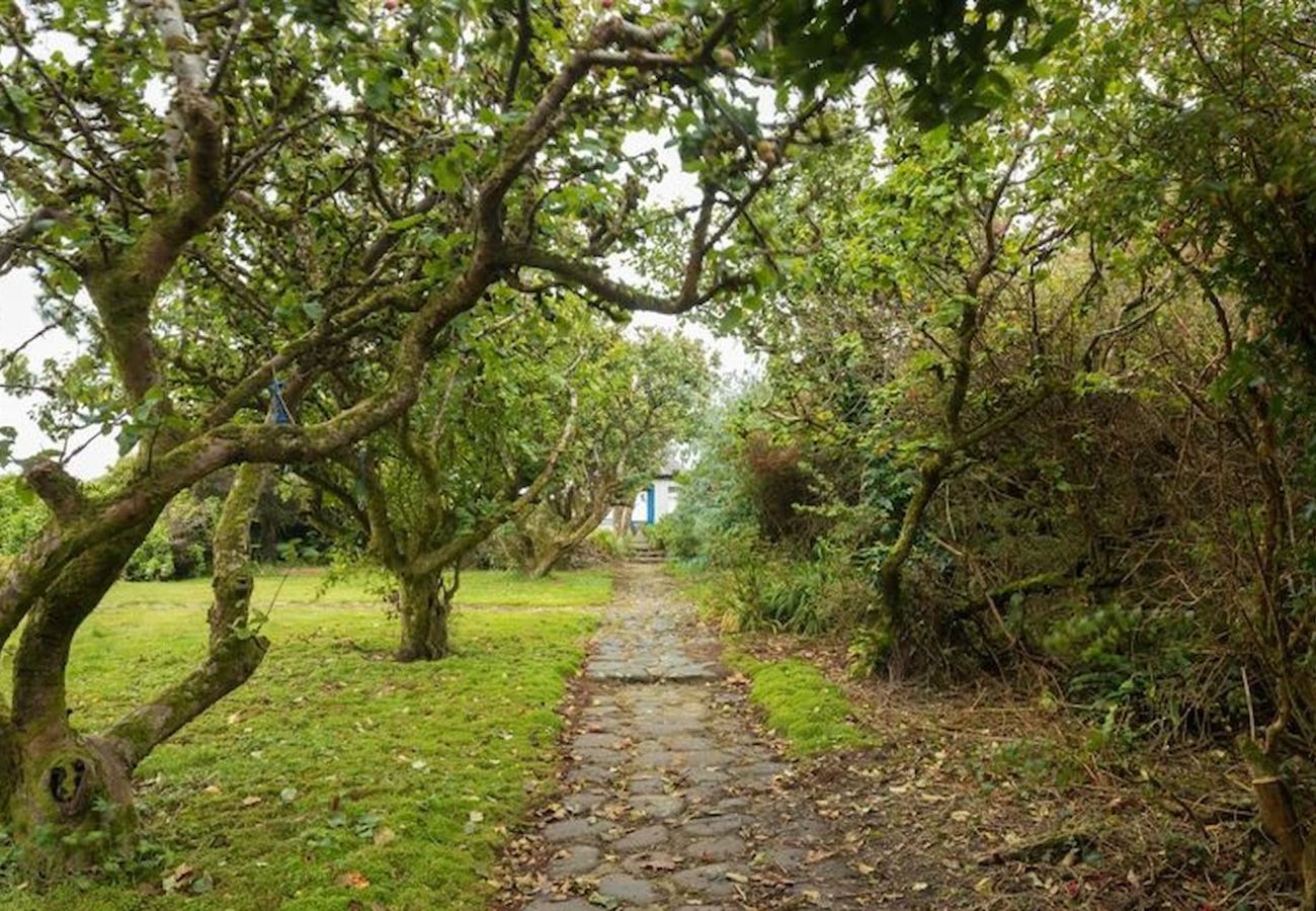 House in Ballyconneely - Guinness House 