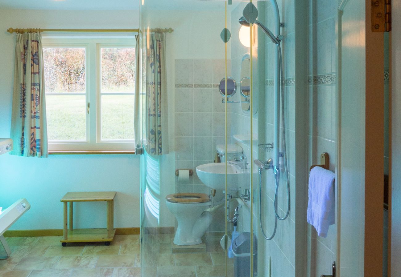 House in Clifden -  Kill House an elegant historic property 