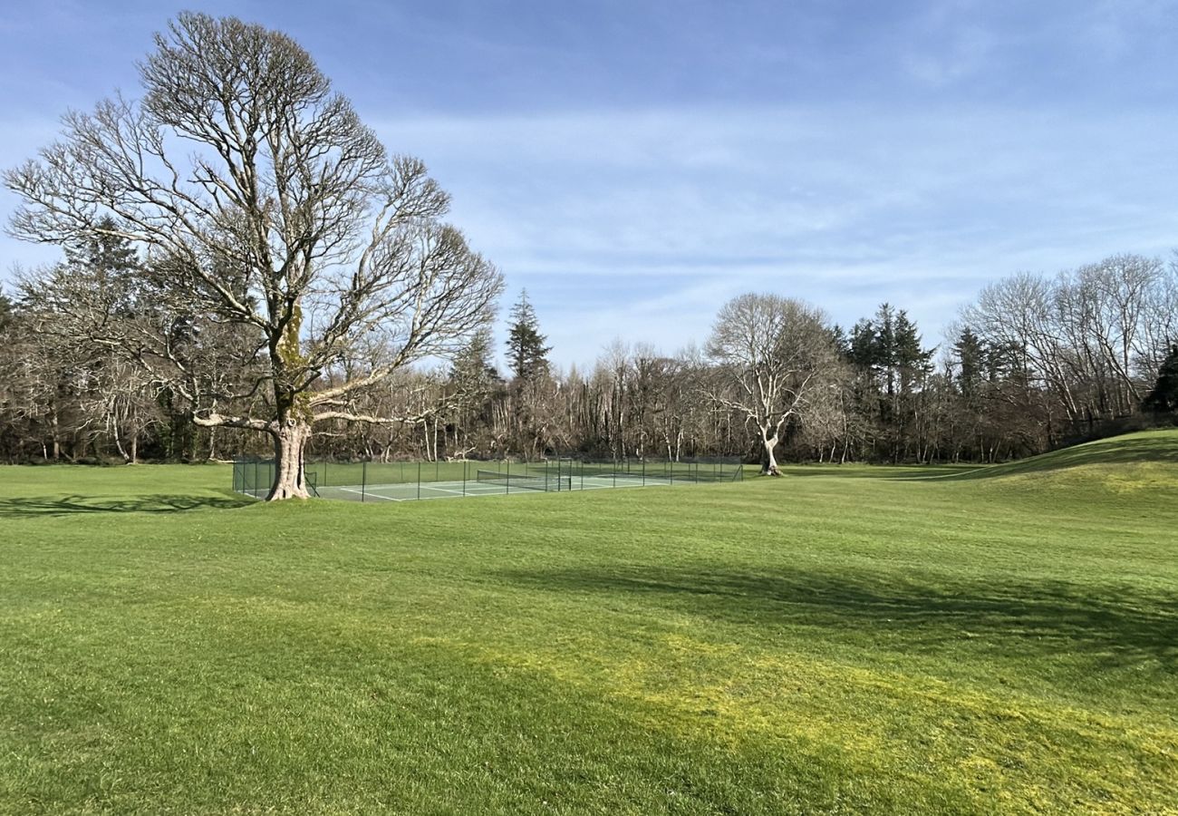 Cottage in Rosscahill -  St George's Ross Castle Galway